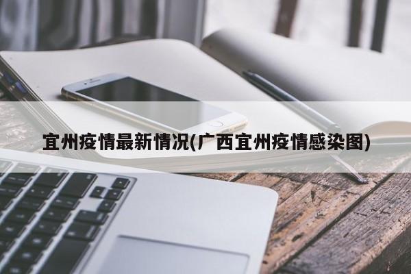宜州疫情最新情况(广西宜州疫情感染图)