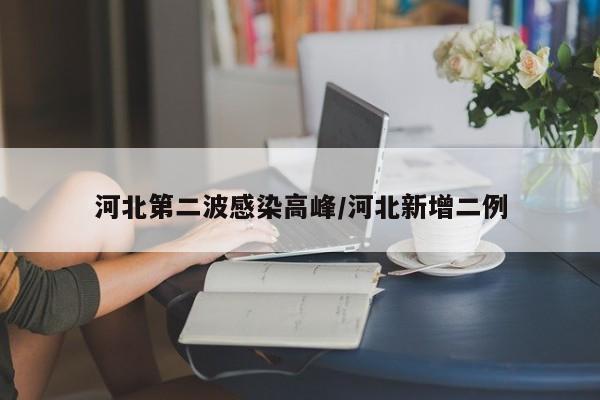 河北第二波感染高峰/河北新增二例