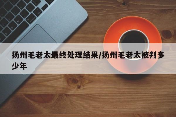 扬州毛老太最终处理结果/扬州毛老太被判多少年